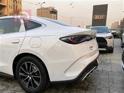 بي واي دي سيل 06 DM-i